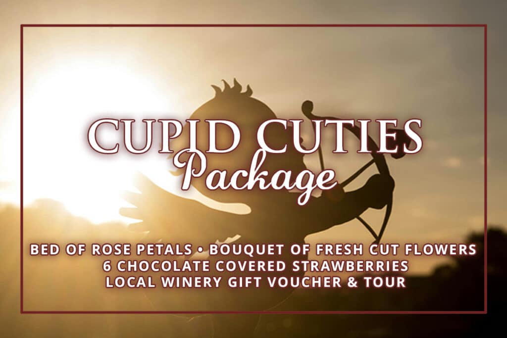 hgv cupidscuddle graphic 0925