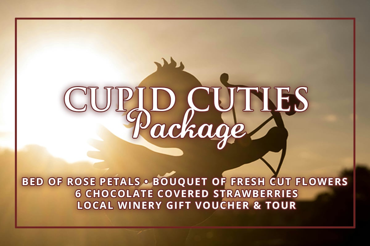 hgv cupidscuddle graphic 0925