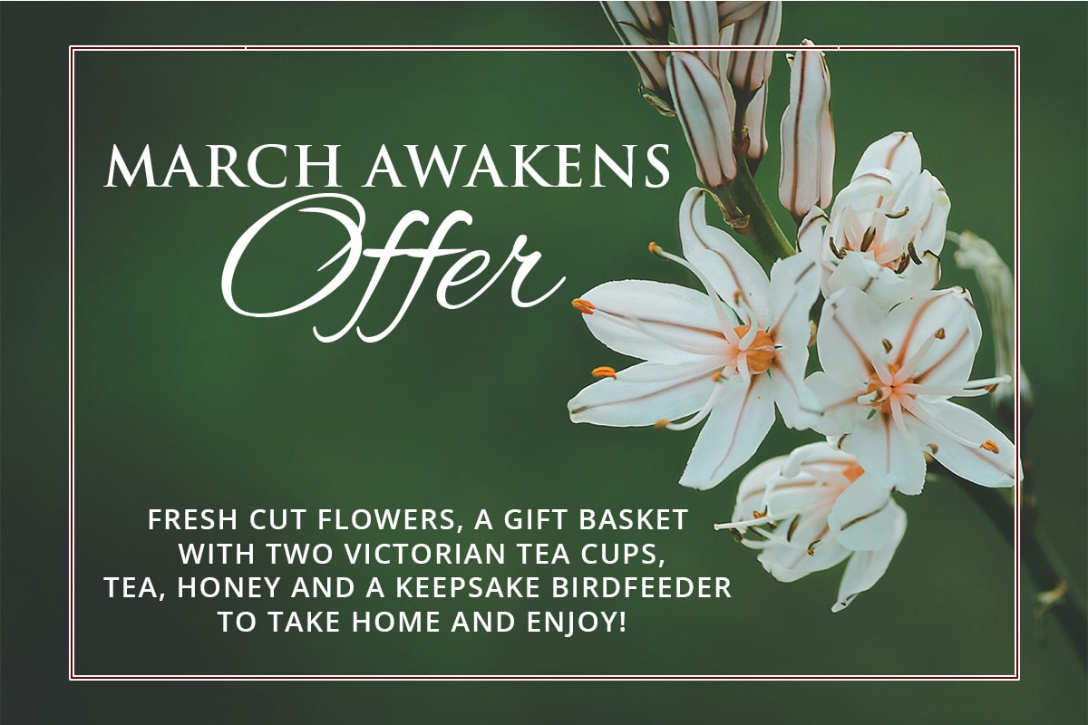 hgv marchawakens graphic 1025