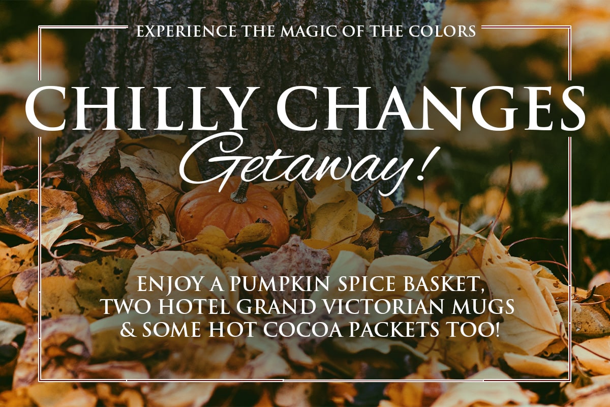 hgv chillychanges graphic 0126