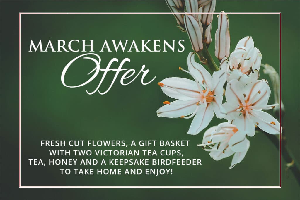 hgv marchawakens graphic 1025