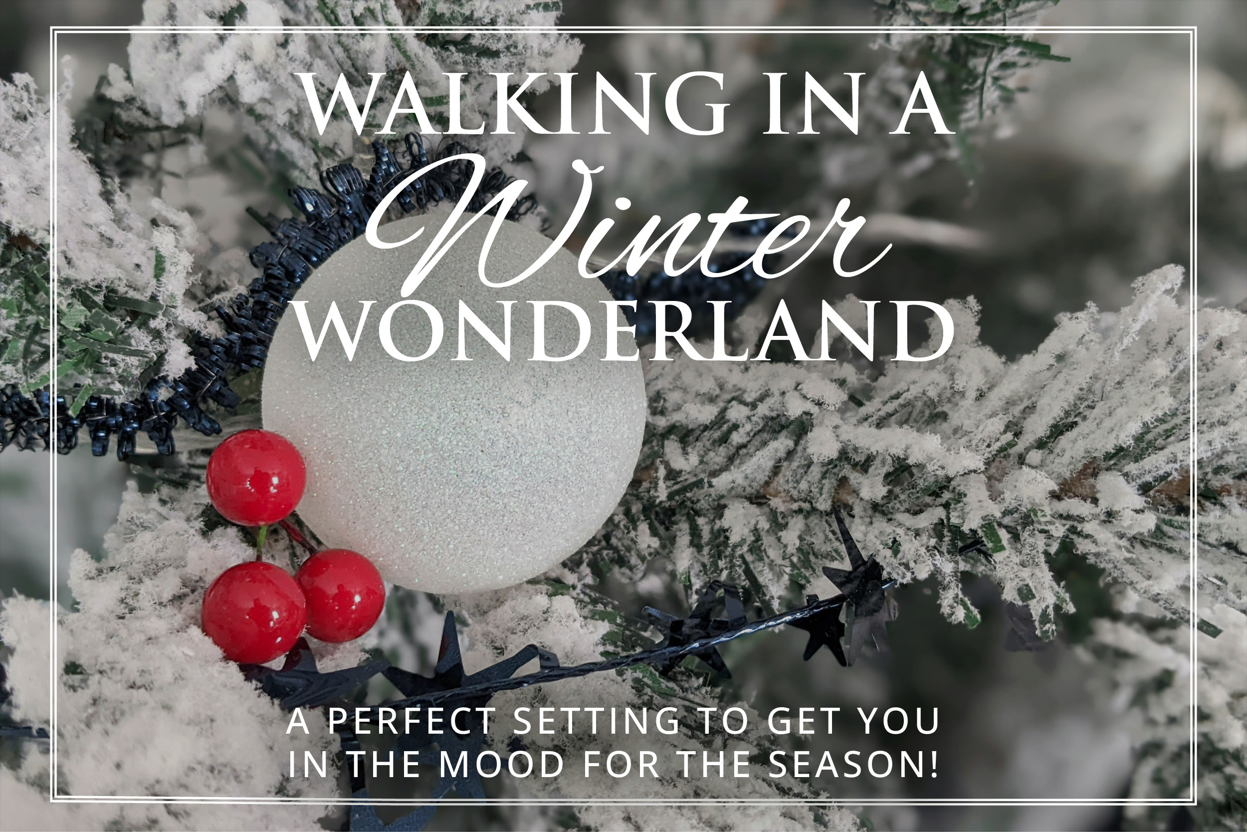 hgv winterwonderland promo 0926